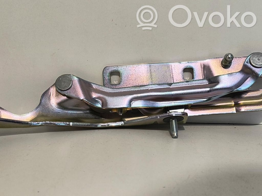 Tesla Model 3 Tailgate hinge 