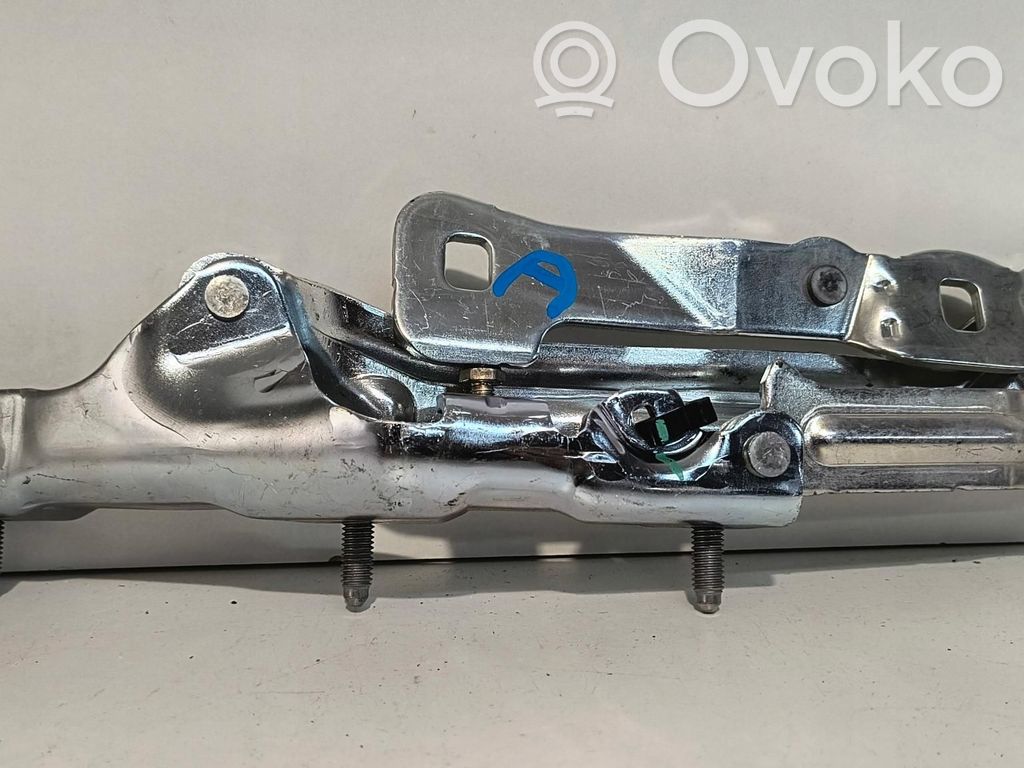 Tailgate hinge   109282100C