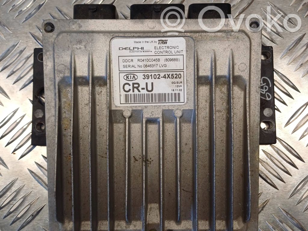 Engine control unit/module   391024X520,R0410C045B,80968B