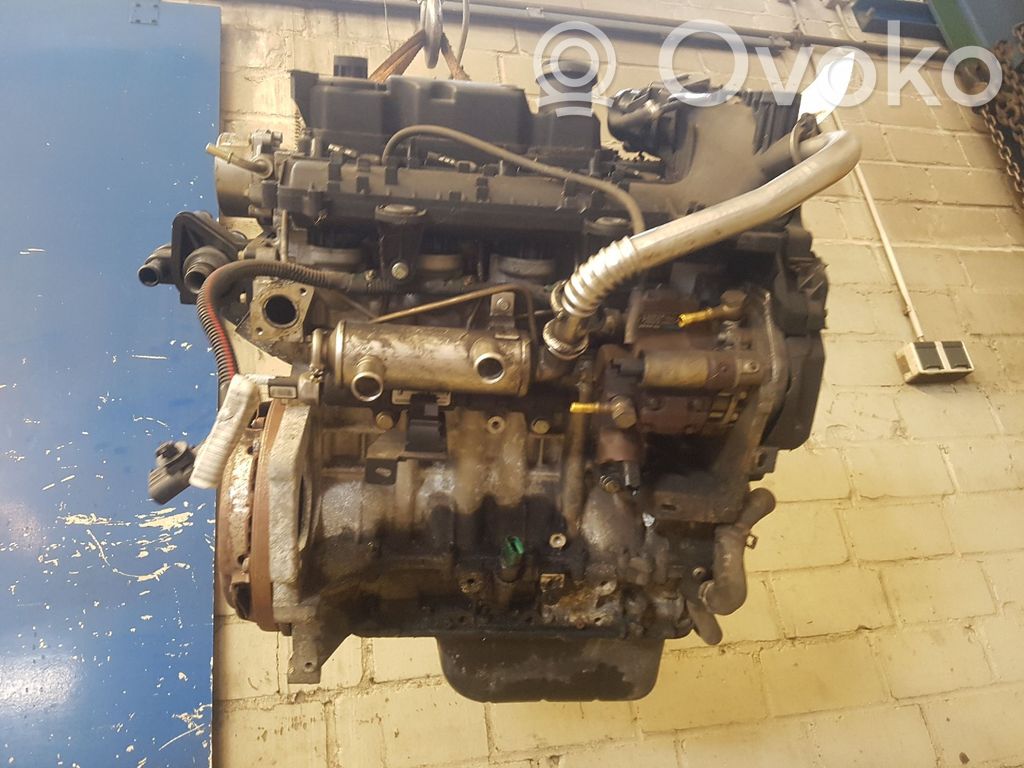 Motor   DV4TD,132495