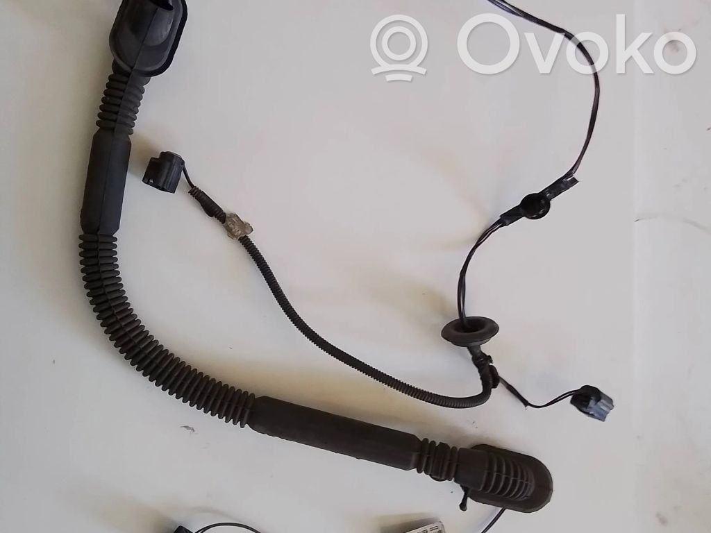 Cableado de puerta trasera   240520164R,C0046164R