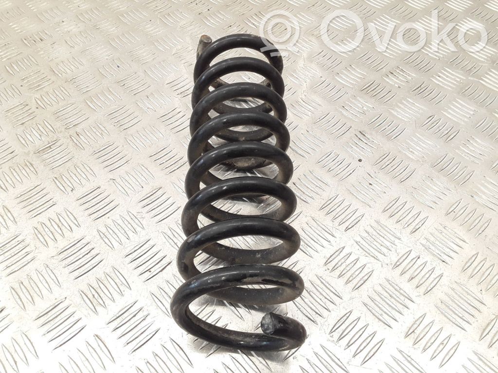 Rear coil spring