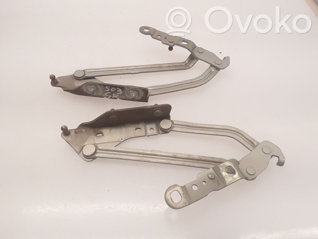 Renault Megane II Tailgate/trunk/boot hinge 