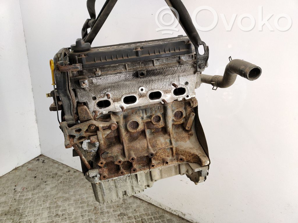 Variklis   K30C