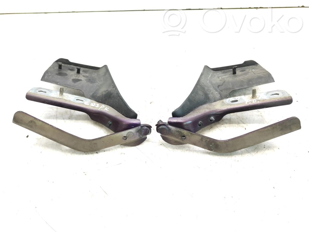 Peugeot 607 Dzinēja pārsega eņģe (-es) 
