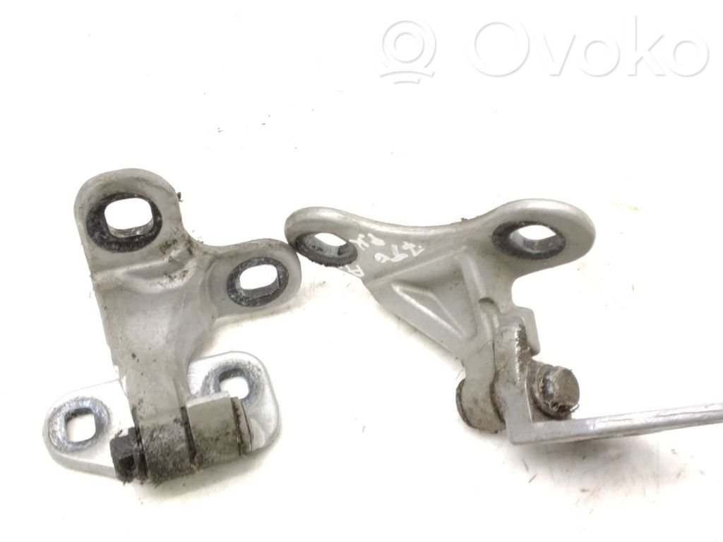 Front door hinges set   3547