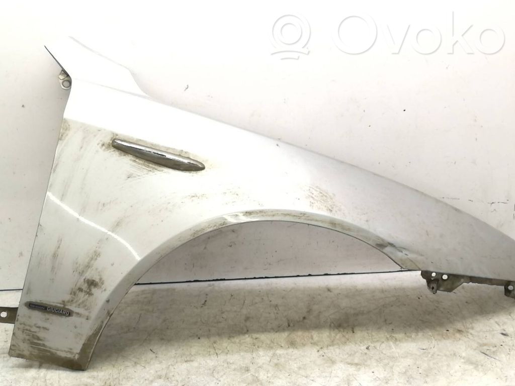 Guardabarro   565A