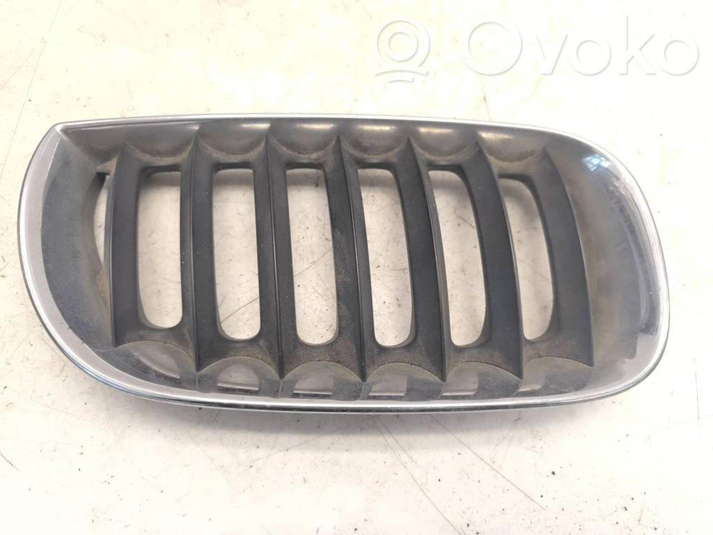 BMW X3 E83 Front grill 
