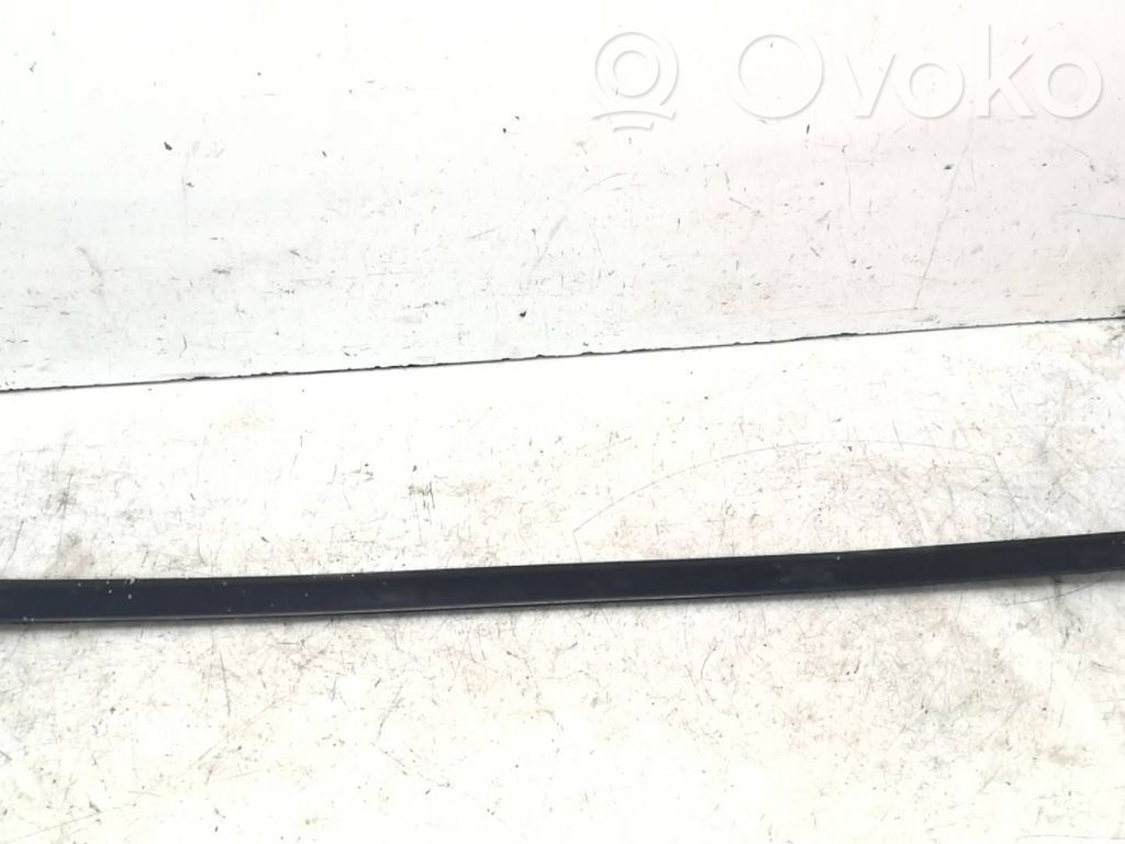 Audi A6 S6 C5 4B Front door trim (molding) 