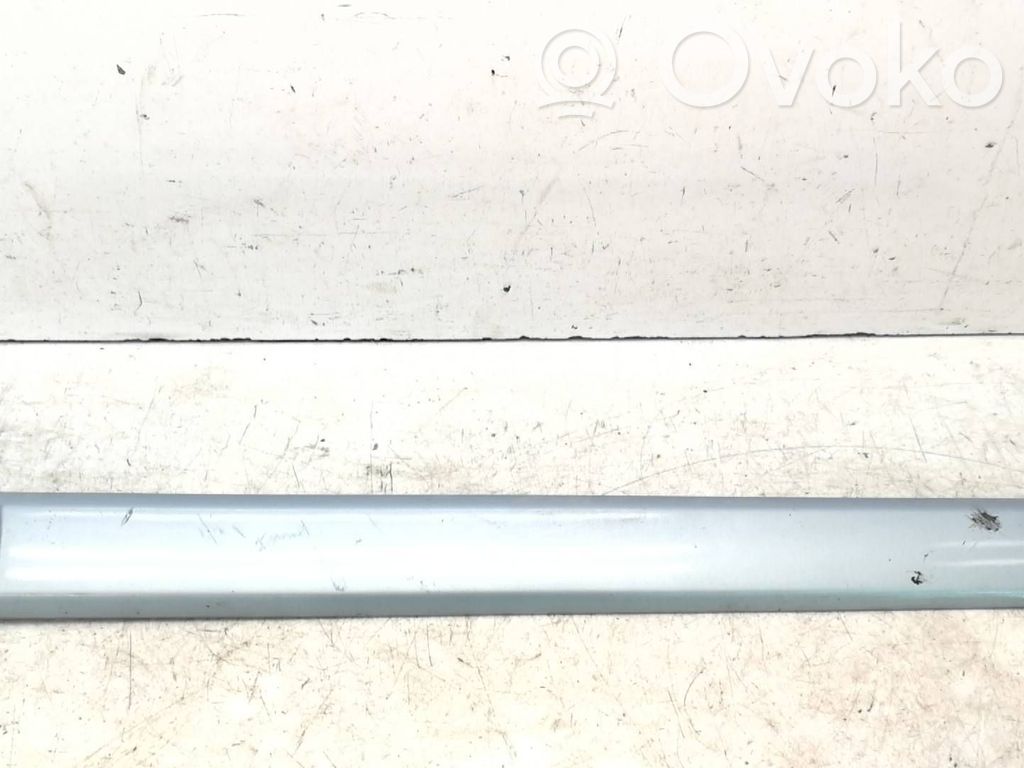 Citroen C5 Front door trim (molding) 