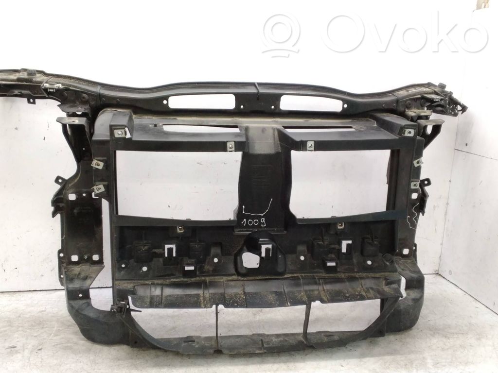 BMW X1 E84 Radiatorių panelė 