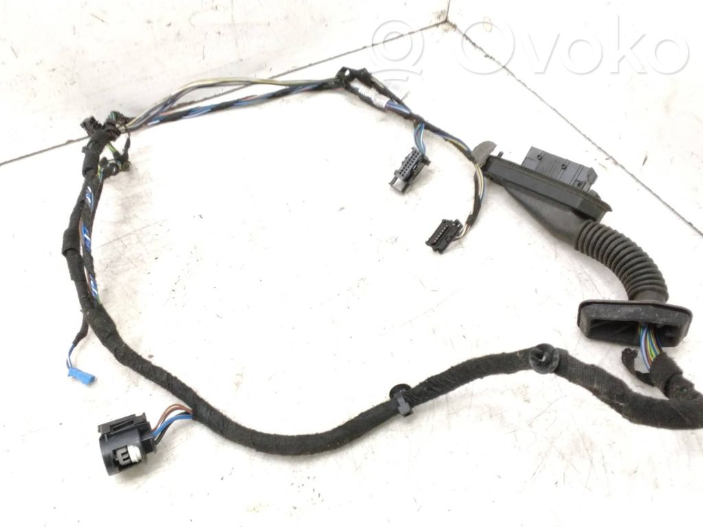 Cableado de puerta delantera   9269940
