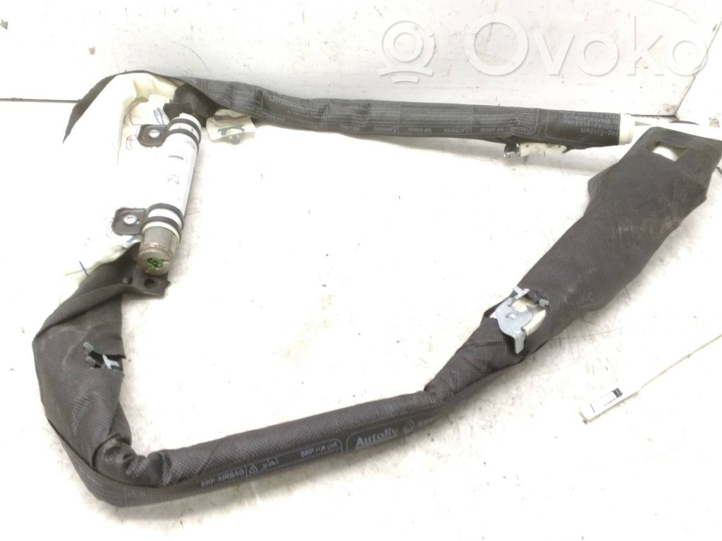 Renault Latitude (L70) Airbag del techo