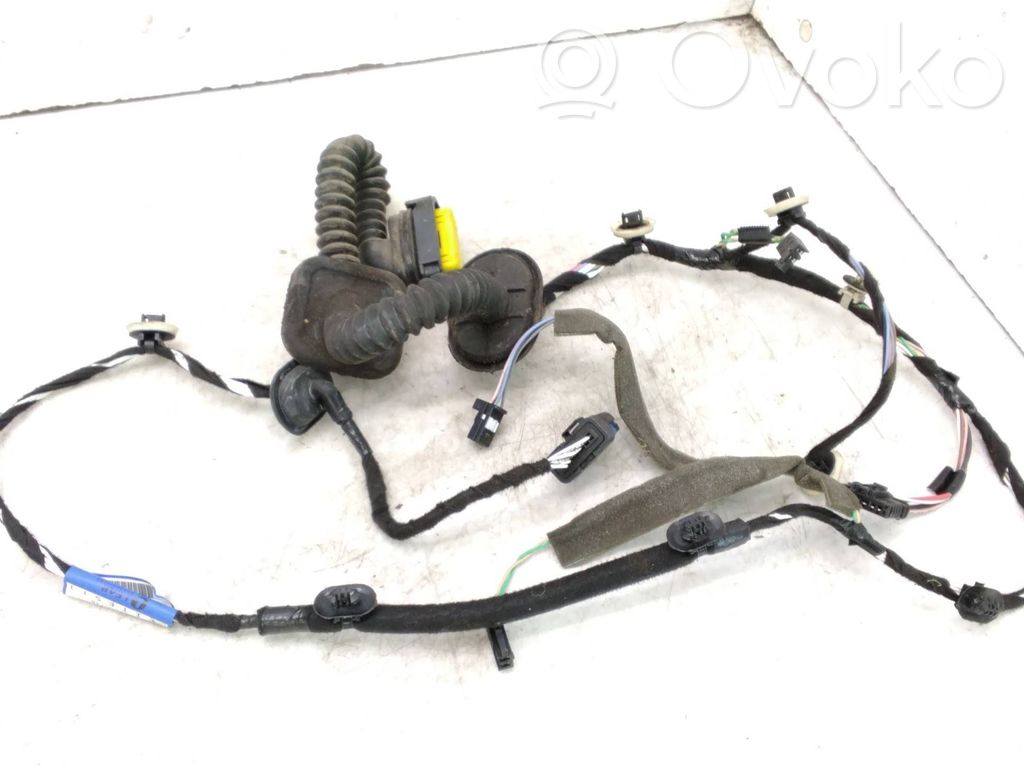Renault Laguna III Cableado de puerta trasera 