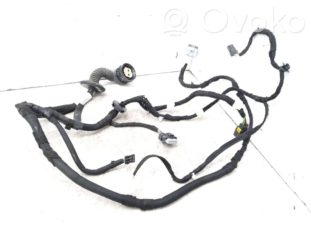 Citroen C5 Cableado de puerta delantera 