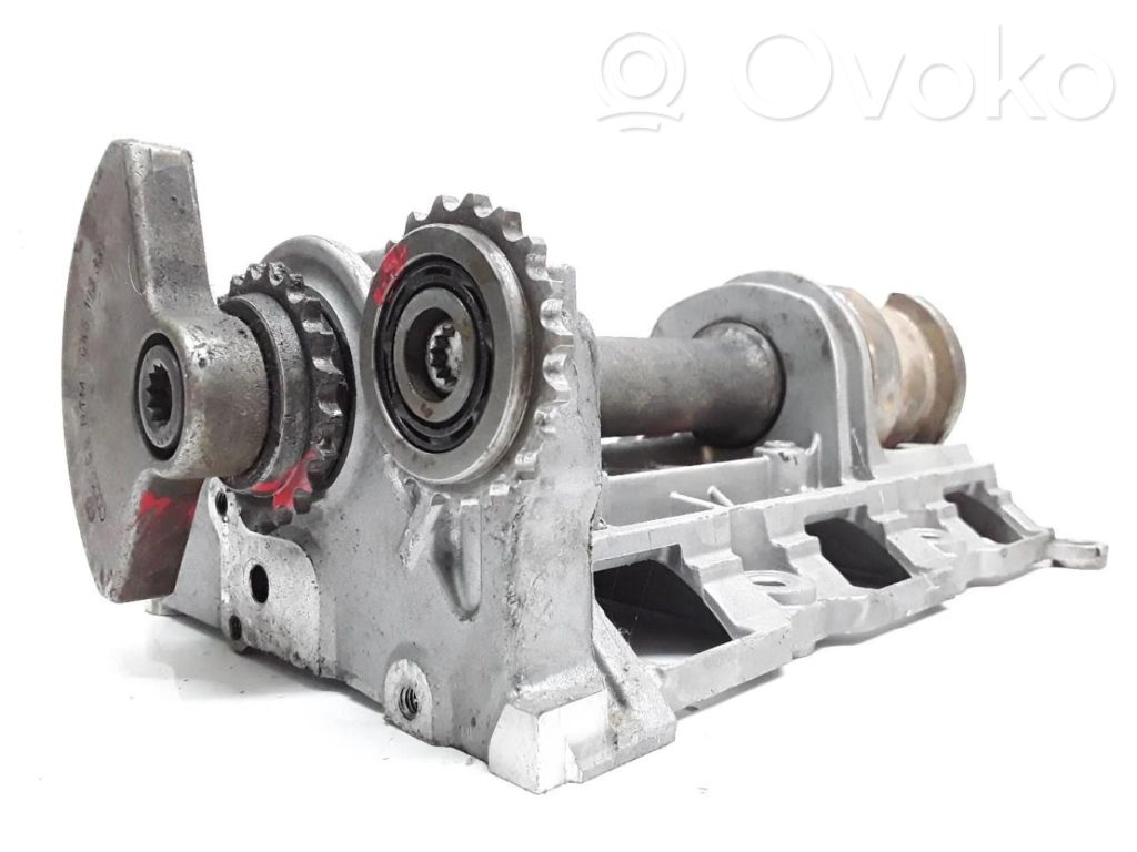 Seat Ibiza III (6L) Pompa olejowa 