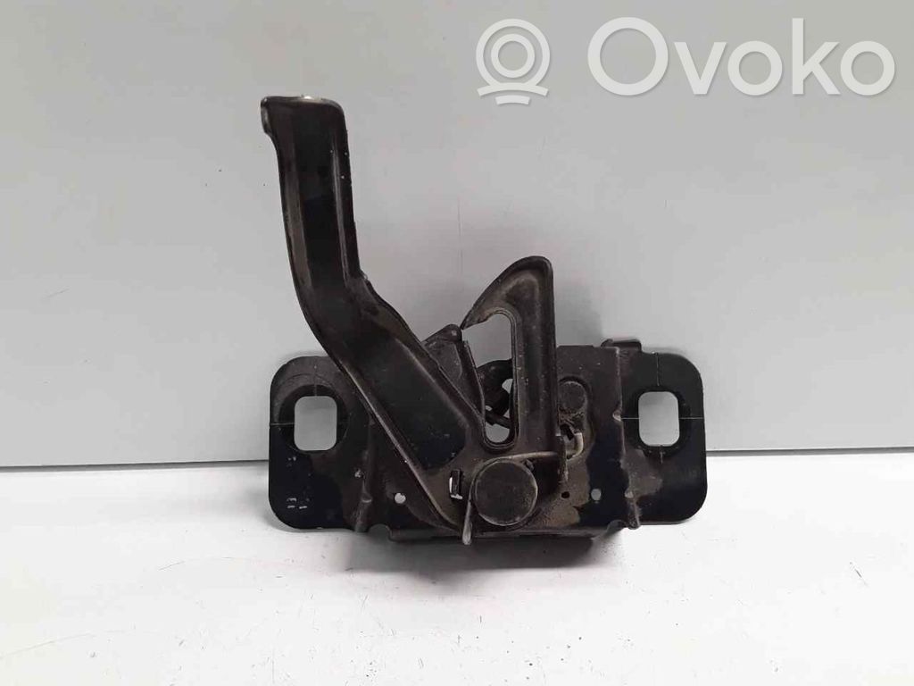 Tie down hook / loop   13312134