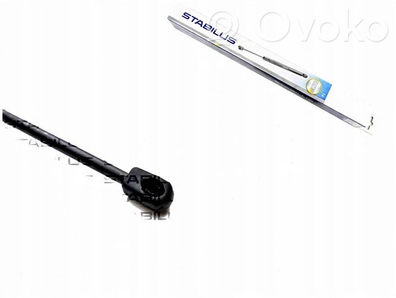 Ford Focus Tailgate/trunk strut/damper 