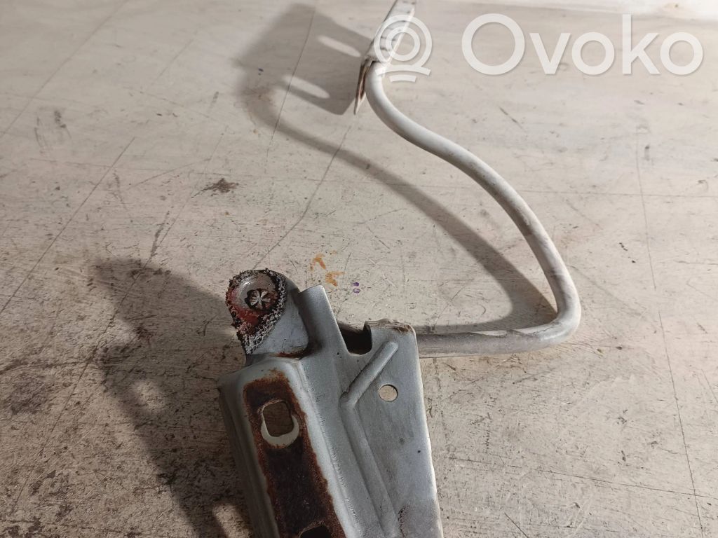 Engine bonnet/hood hinges   D181