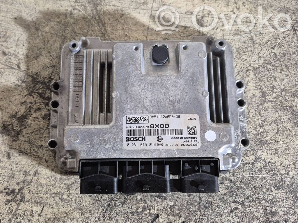Ford Focus Engine control unit/module 