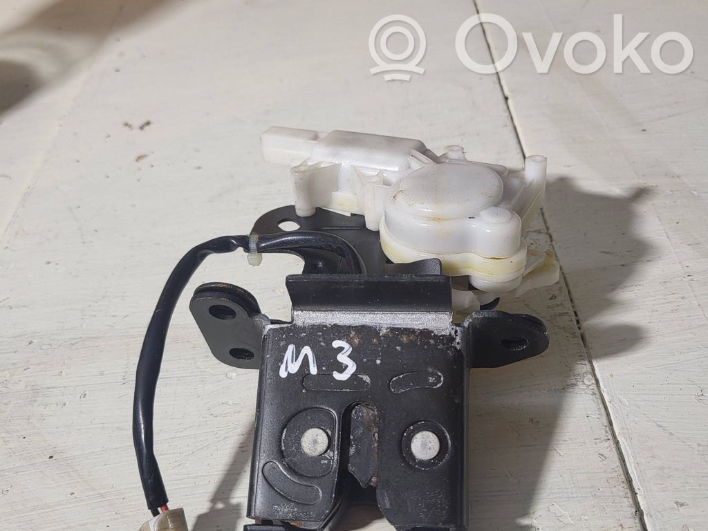Tailgate/trunk/boot lock/catch/latch   B6701