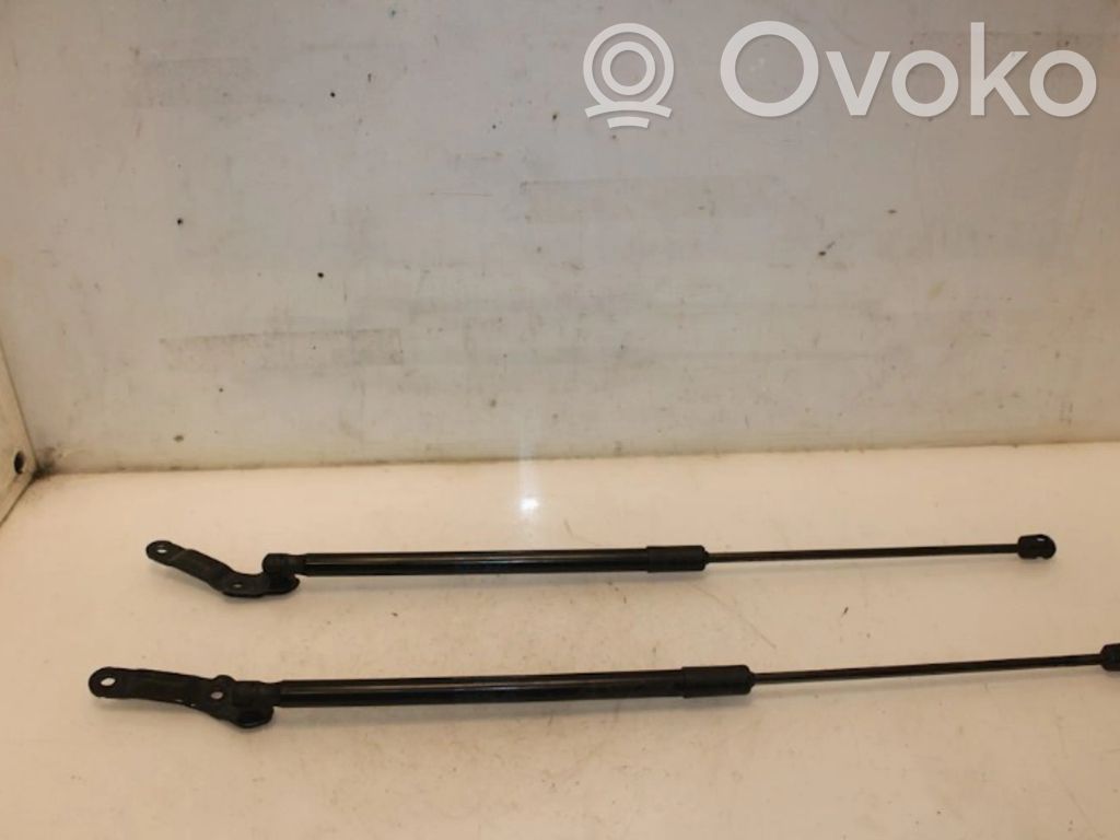Tailgate/trunk strut/damper   81A827552B,81A827552B
