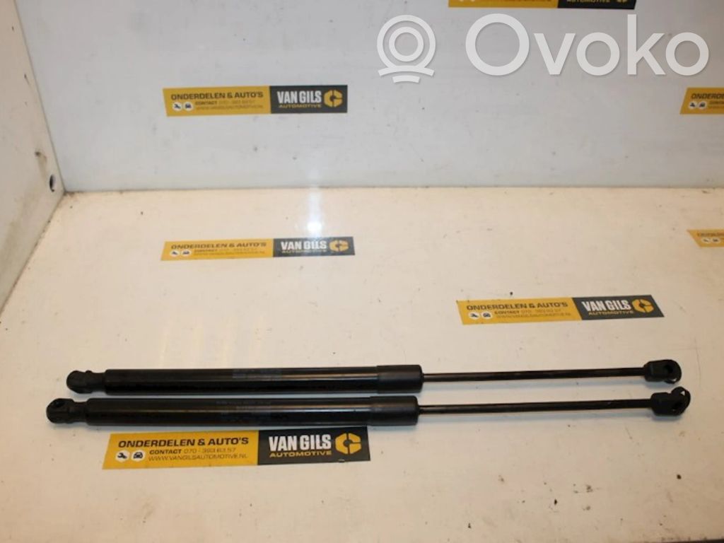Volkswagen Tiguan Ammortizzatore portellone posteriore/bagagliaio