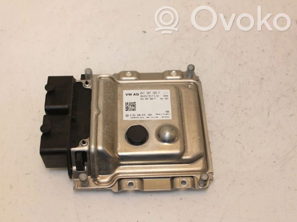 Sterownik / Moduł ECU   04C907309P,04C907309P