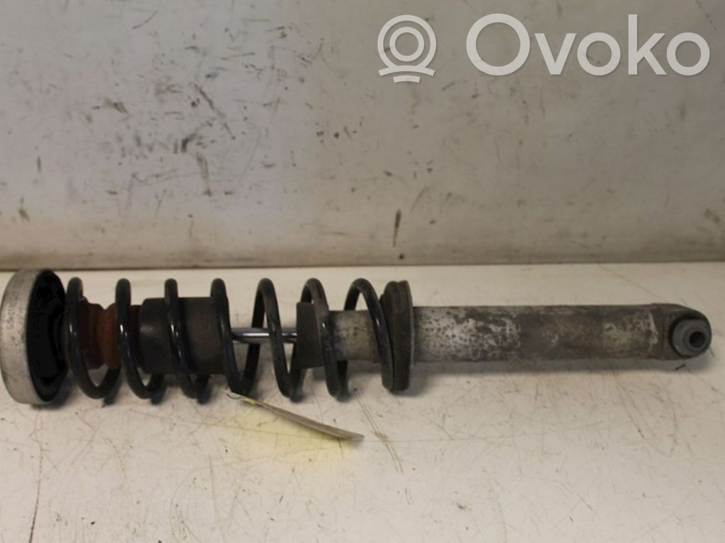 Rear shock absorber with coil spring