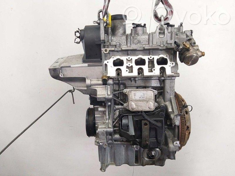 Seat Ibiza IV (6J,6P) Motore 
