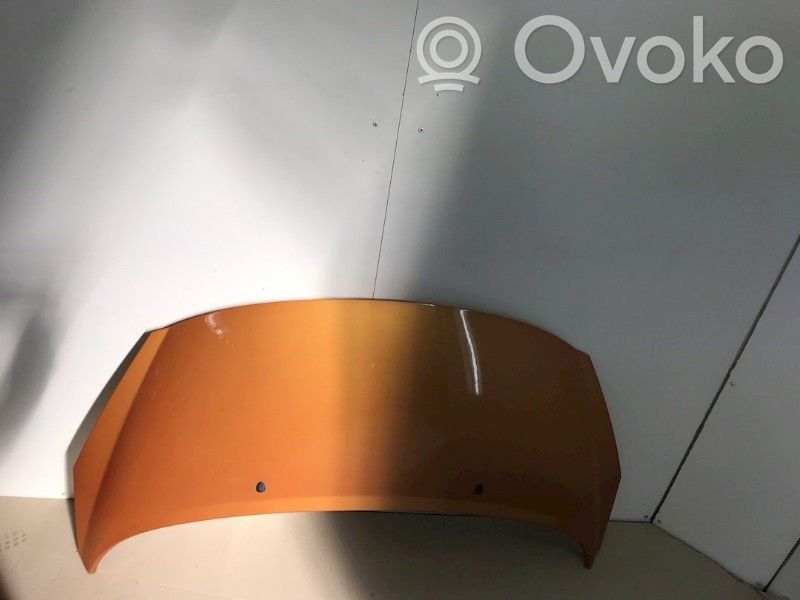 Motorhaube   7901N2,7901N2
