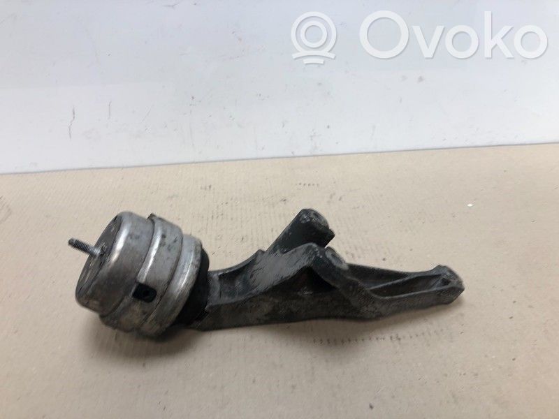 Audi A4 S4 B7 8E 8H Variklio pagalvė 