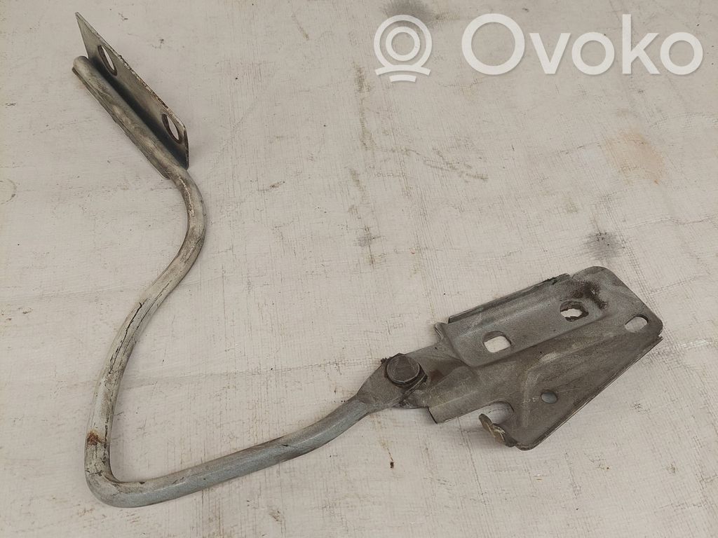 Ford Transit Dzinēja pārsega eņģe (-es) 