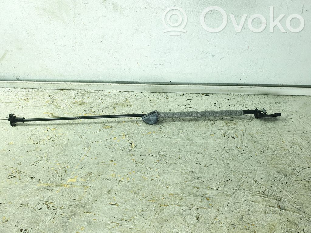 Trosīte