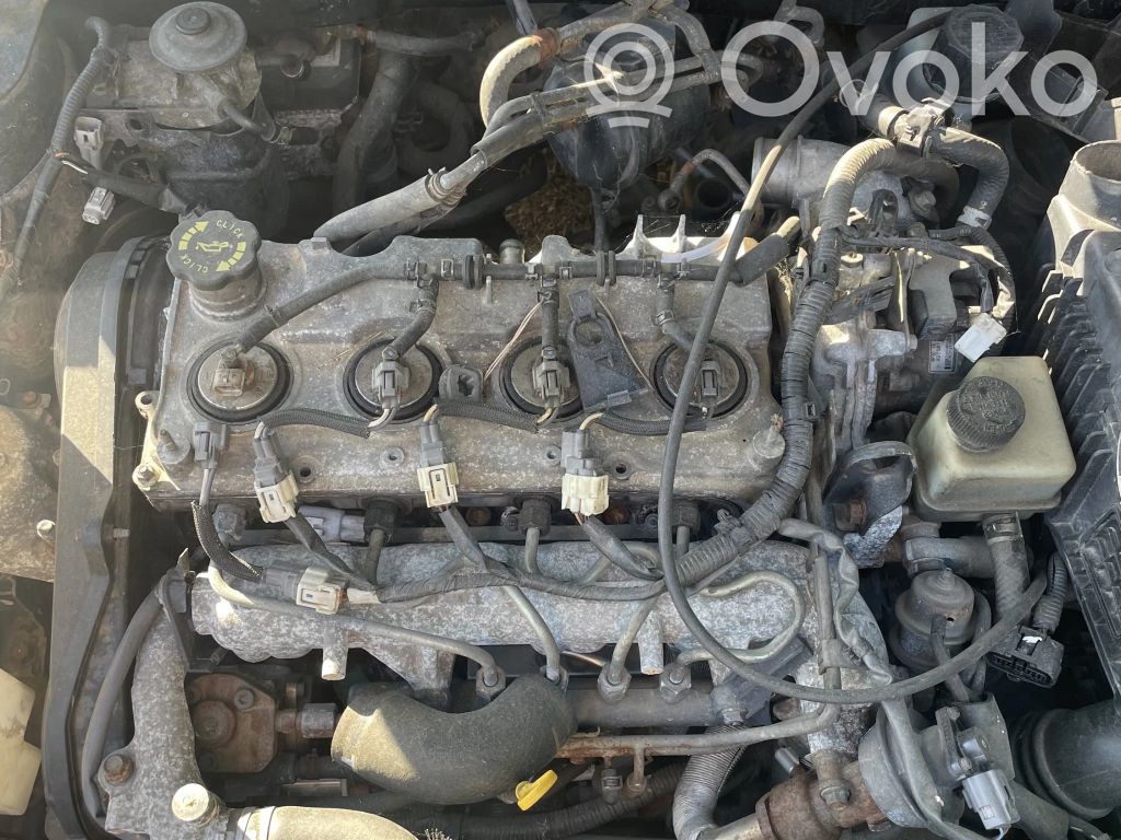 Motor   RF5C,RF5C