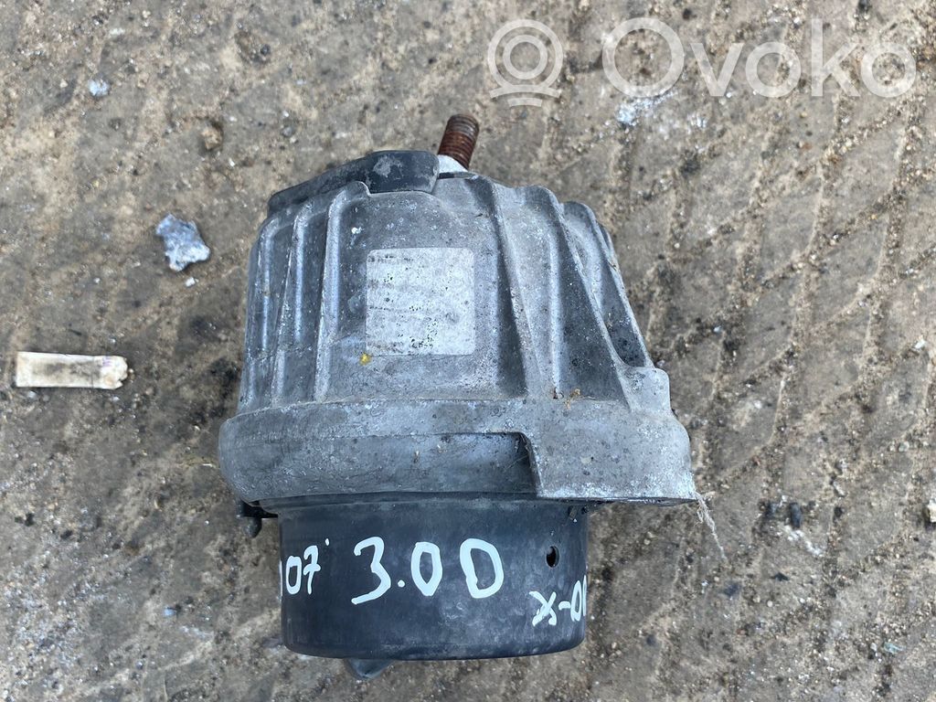 Variklio pagalvė   13981112,13981112