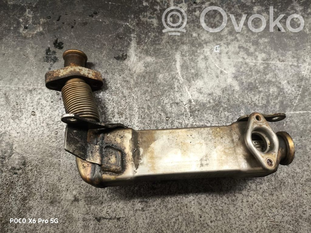 BMW 5 E60 E61 EGR dzesētājs 