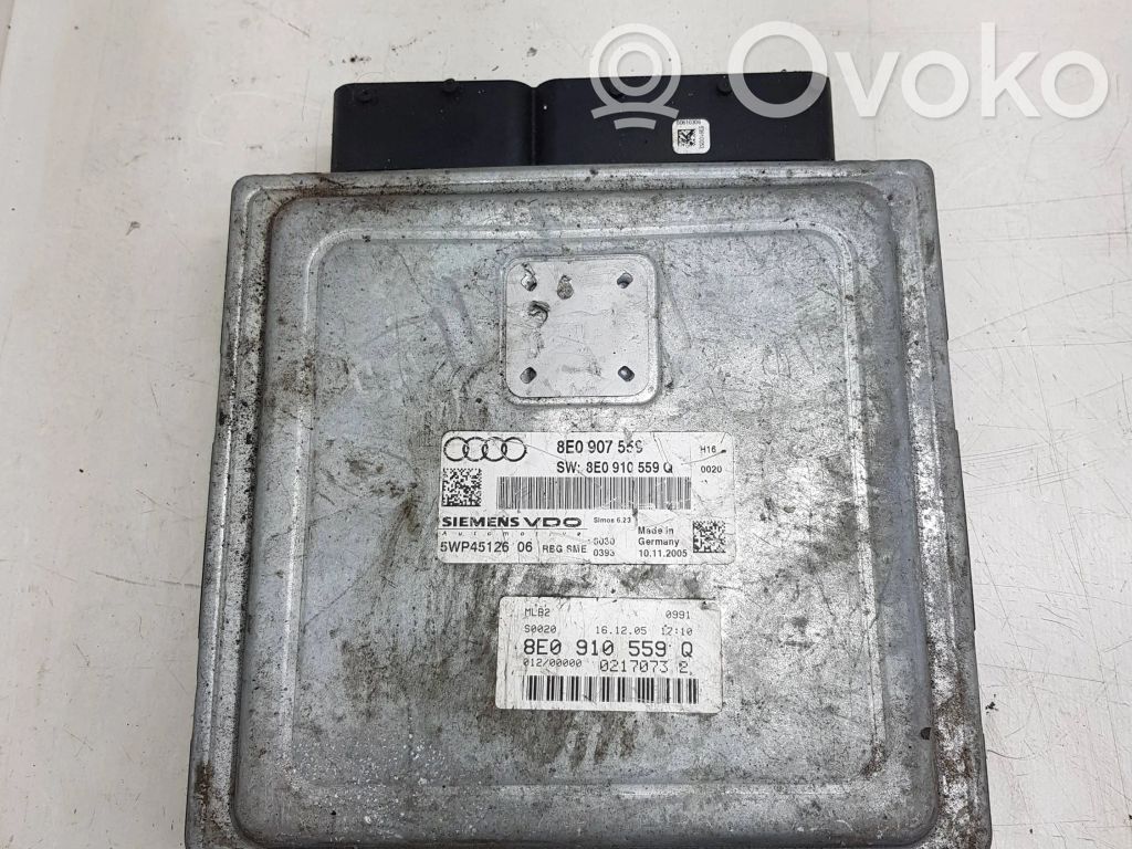 Audi A4 S4 B7 8E 8H Engine control unit/module 