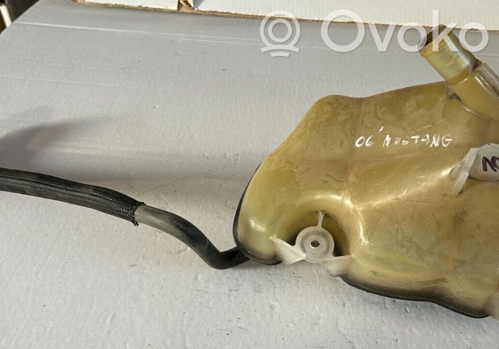 Ford Mustang V Vas expansiune/rezervor lichid de răcire 