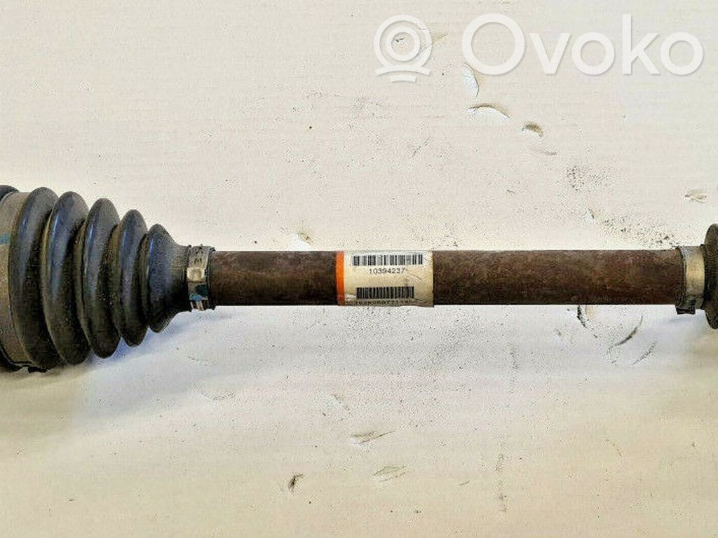 Aizmugurējā pusass   10394237