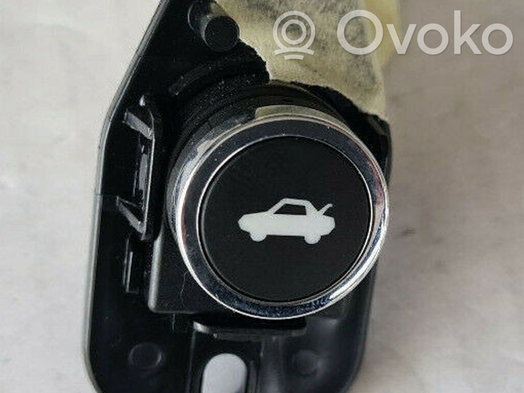Tailgate opening switch   10014023