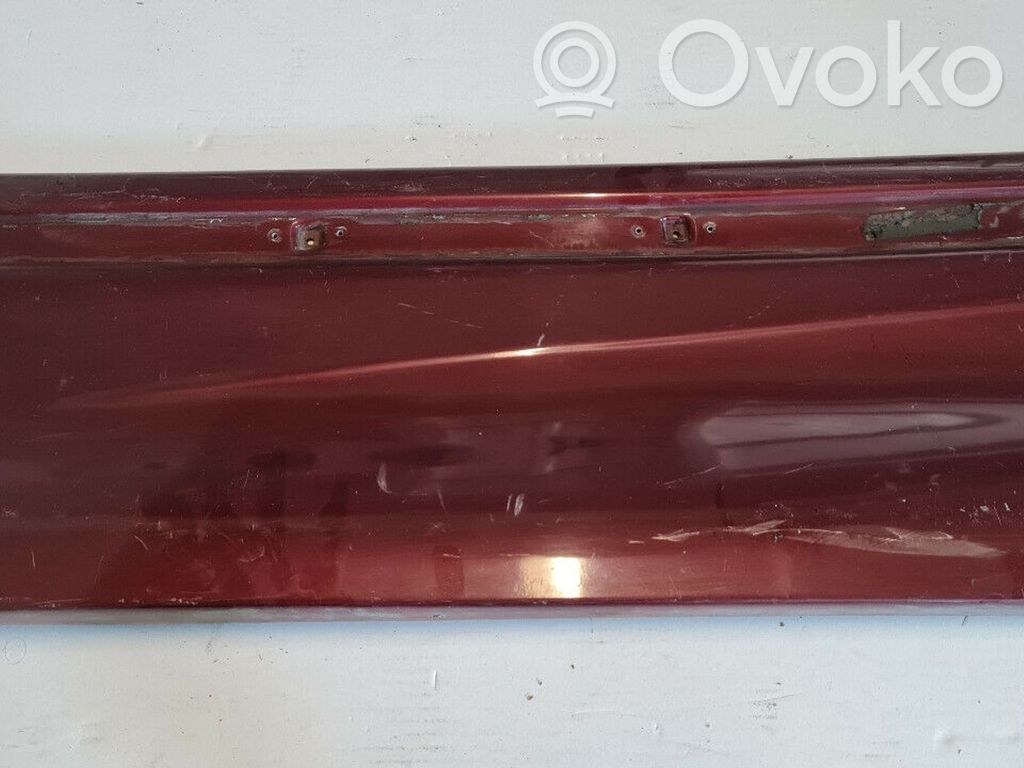 Front door trim (molding)