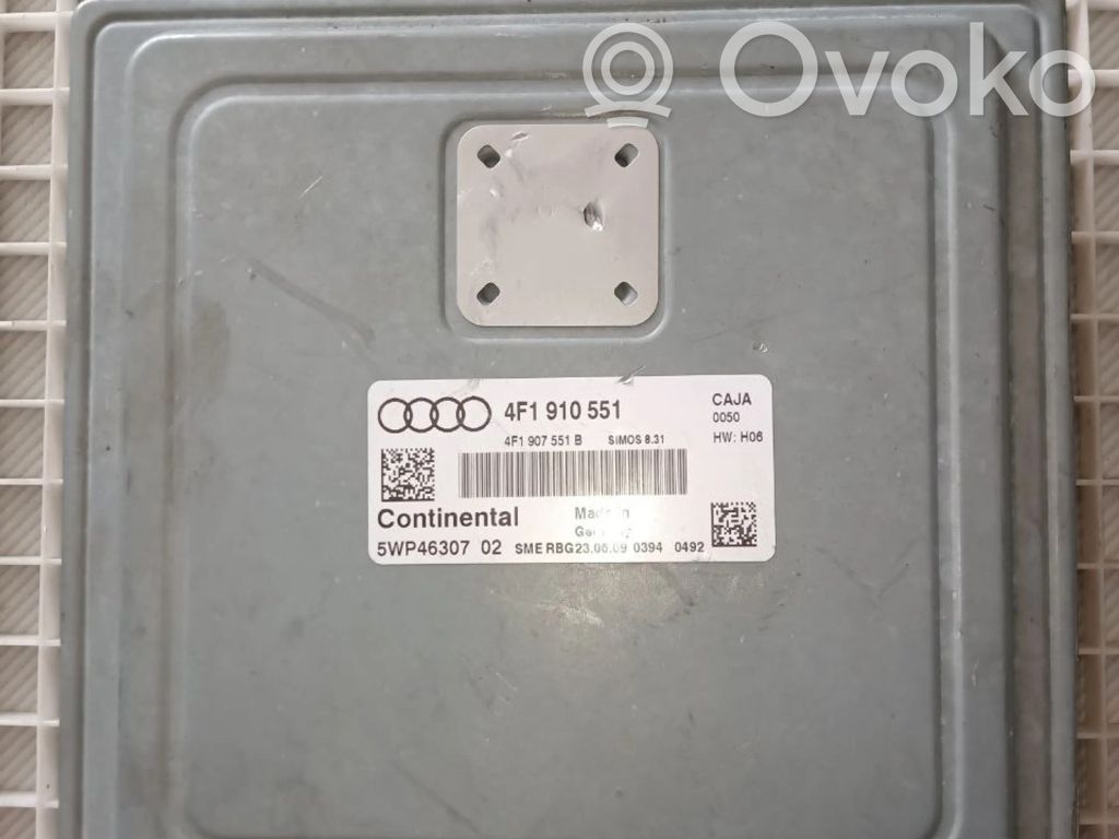 Audi A6 S6 C6 4F Engine control unit/module 