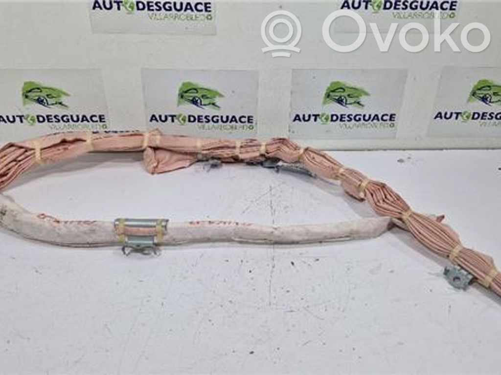 Airbag de la puerta delantera
