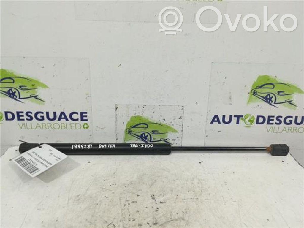 Tailgate/trunk strut/damper