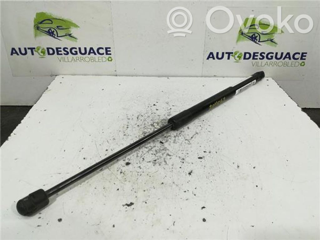 Tailgate/trunk strut/damper