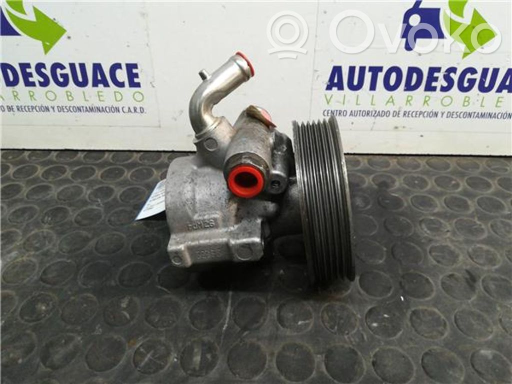 Fiat Doblo Servopumpe 