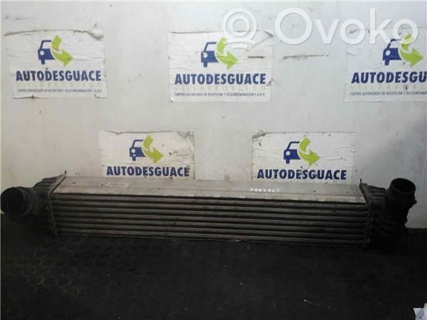 Renault Laguna III Radiador intercooler 