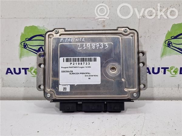 Engine control unit/module ECU   9664618080,281013871