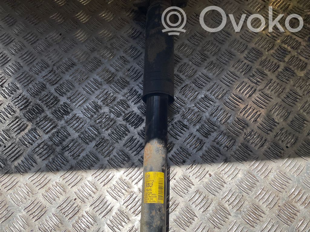 Opel Cascada Amortyzator tylny 